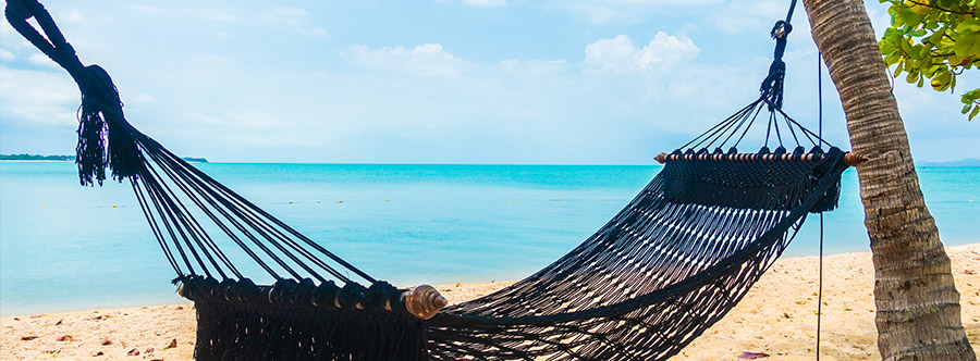 Paises Tropicales “Vitaminas y colores”